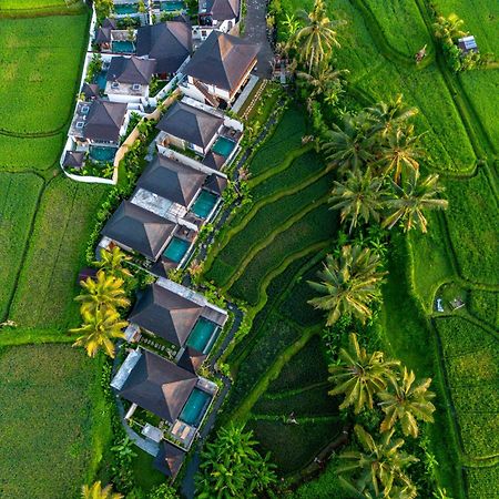 Dewi Kunti Villa Tegallalang  Esterno foto