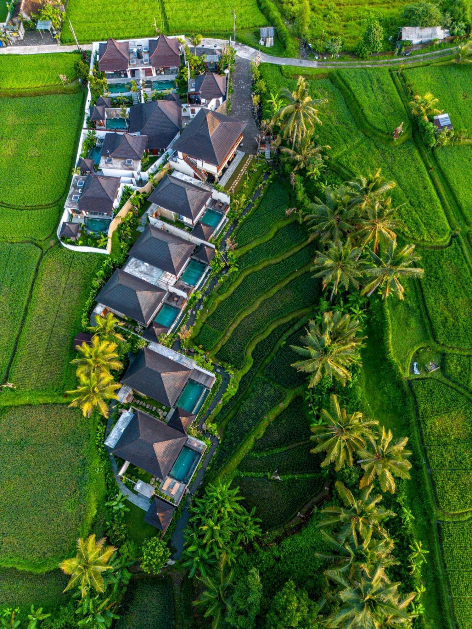 Dewi Kunti Villa Tegallalang  Esterno foto