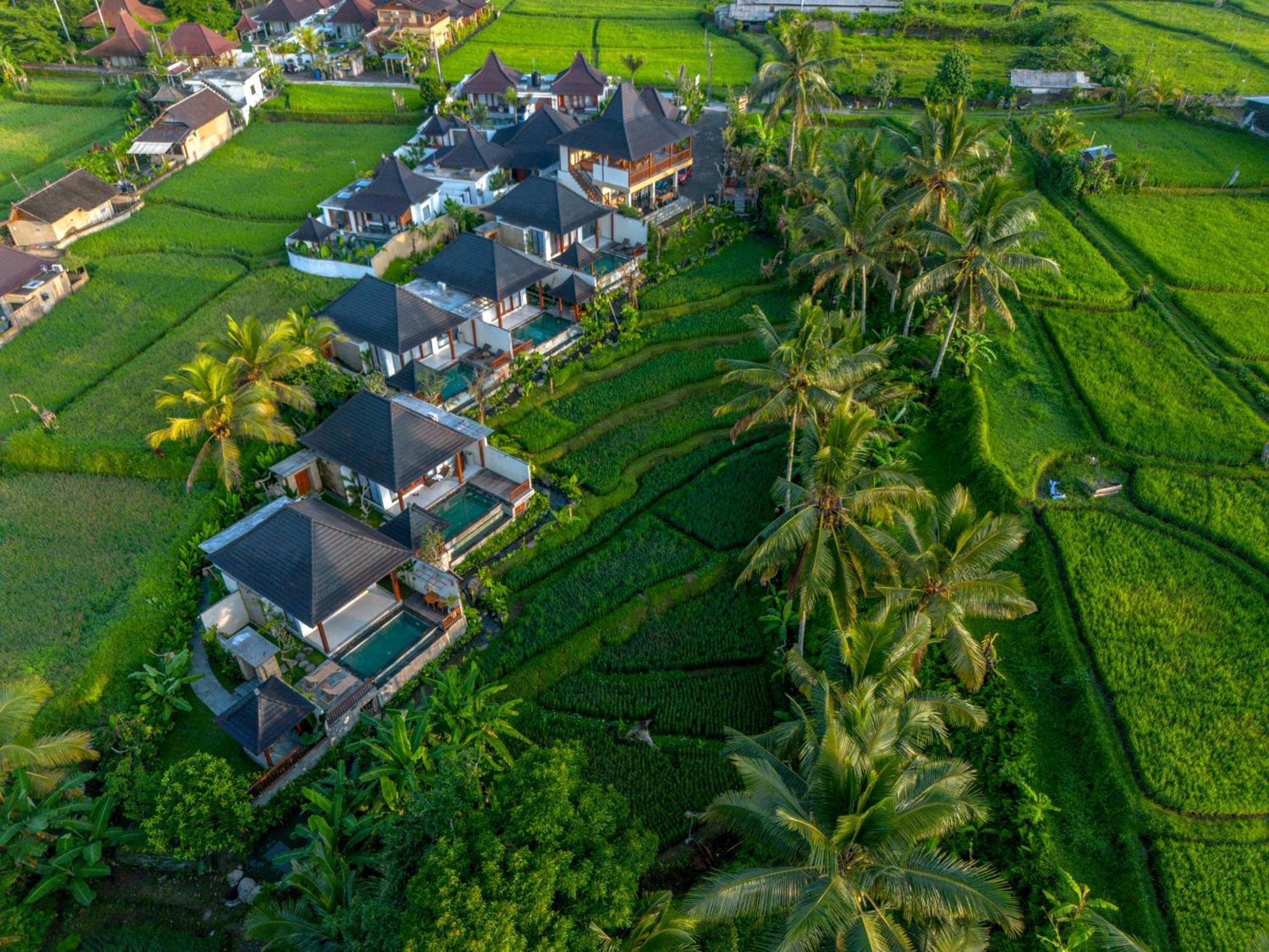 Dewi Kunti Villa Tegallalang  Esterno foto