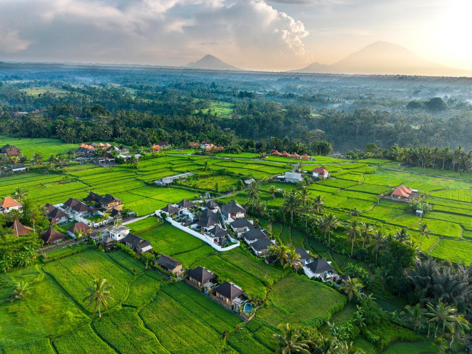 Dewi Kunti Villa Tegallalang  Esterno foto
