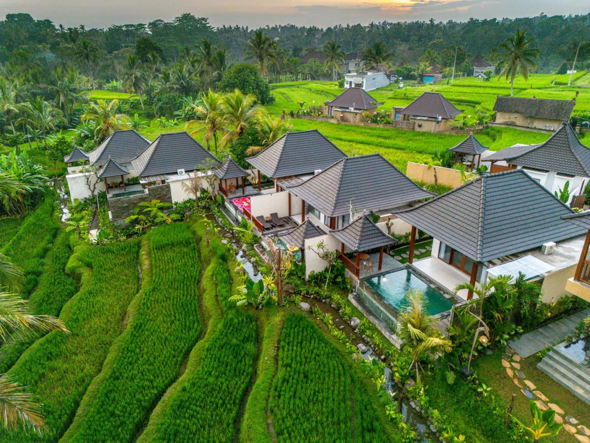 Dewi Kunti Villa Tegallalang  Esterno foto