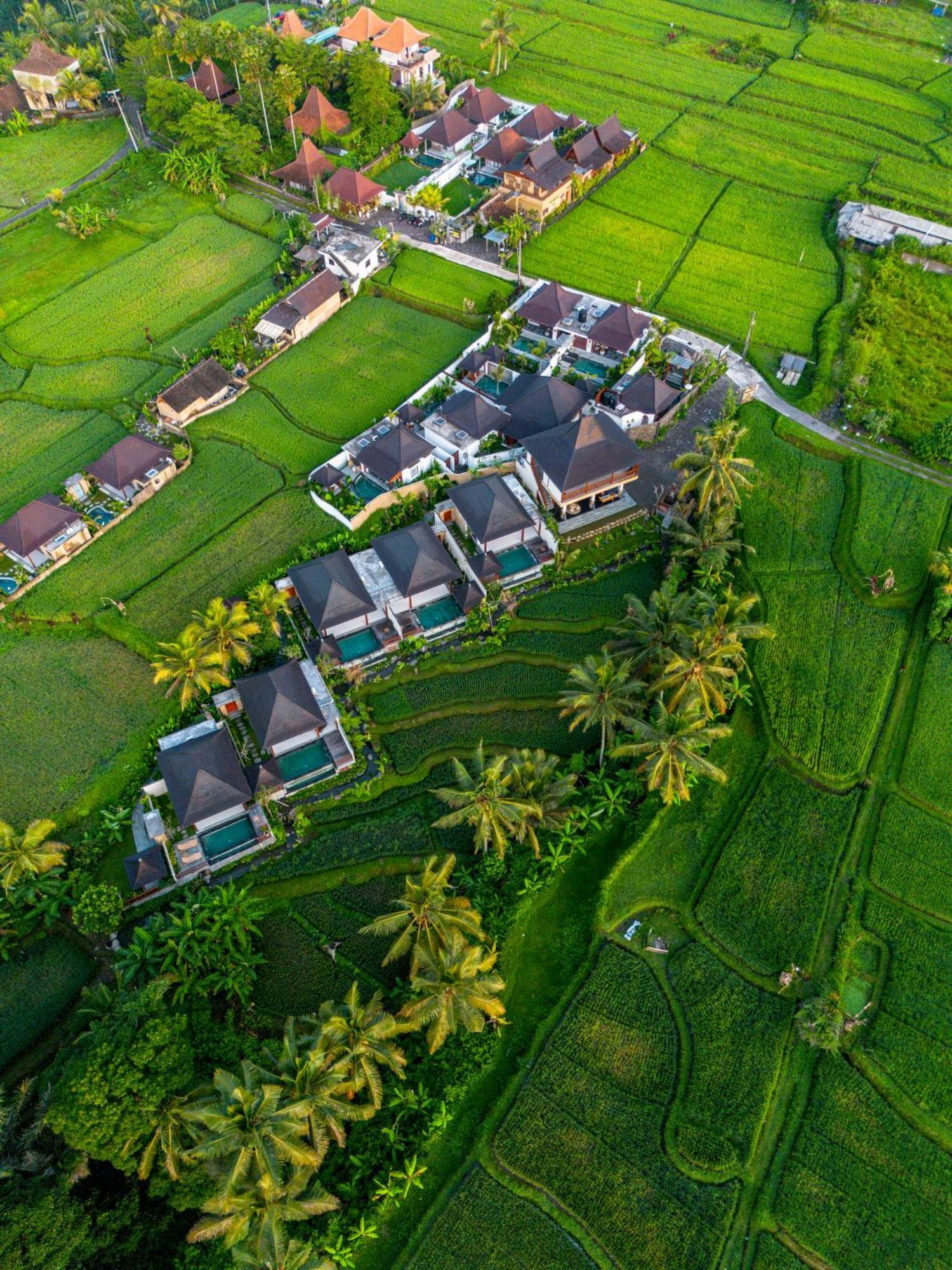 Dewi Kunti Villa Tegallalang  Esterno foto